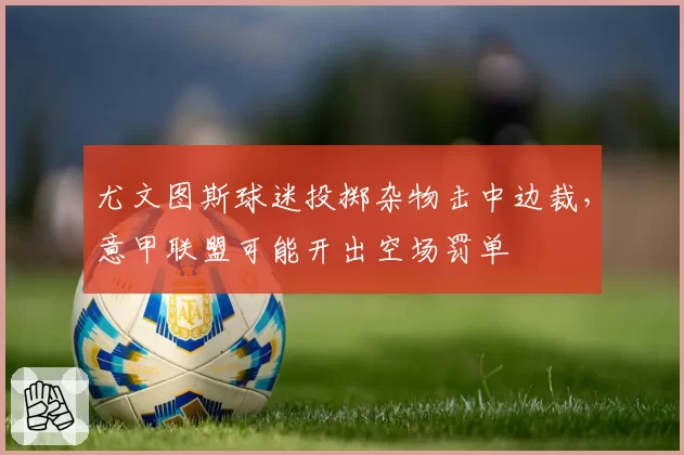 尤文图斯球迷投掷杂物击中边裁，意甲联盟可能开出空场罚单